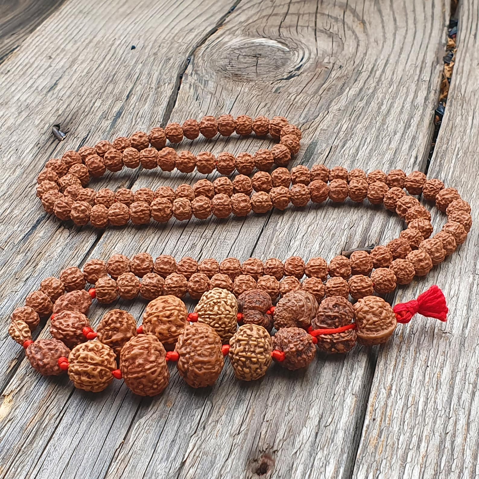 1-14 Mukhi Nepali Rudraksha Mala | Siddha Spiritual Necklace 2